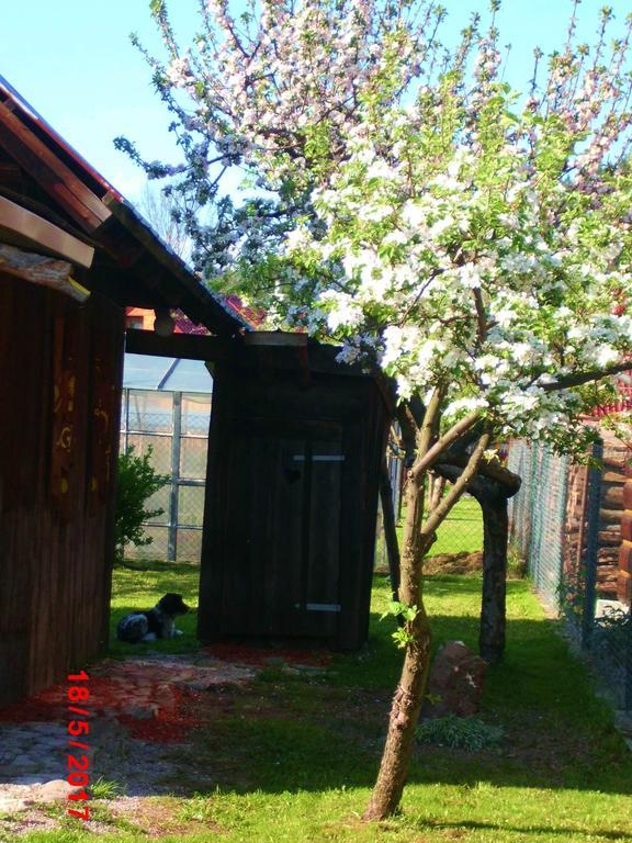 Sedliacka Drevenica Villa Liptovská Osada Dış mekan fotoğraf